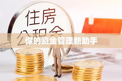 昌平你的资金管理新助手