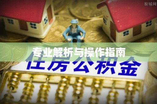 昌平专业解析与操作指南
