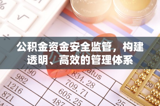 昌平公积金资金安全监管，构建透明、高效的管理体系